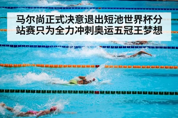 olympic swimming competition
